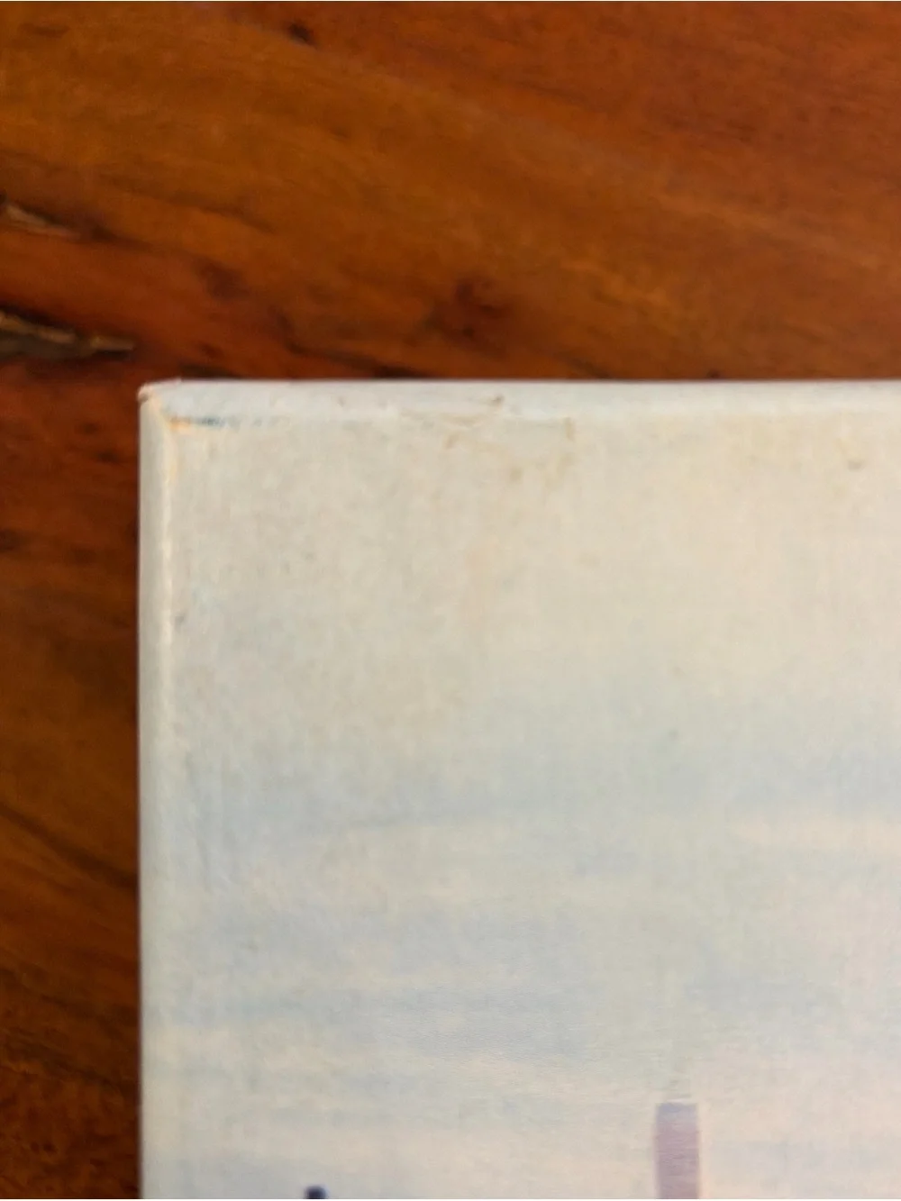 Vintage First National Bank of Chicago Cancelled Check Box Skyline Organizer